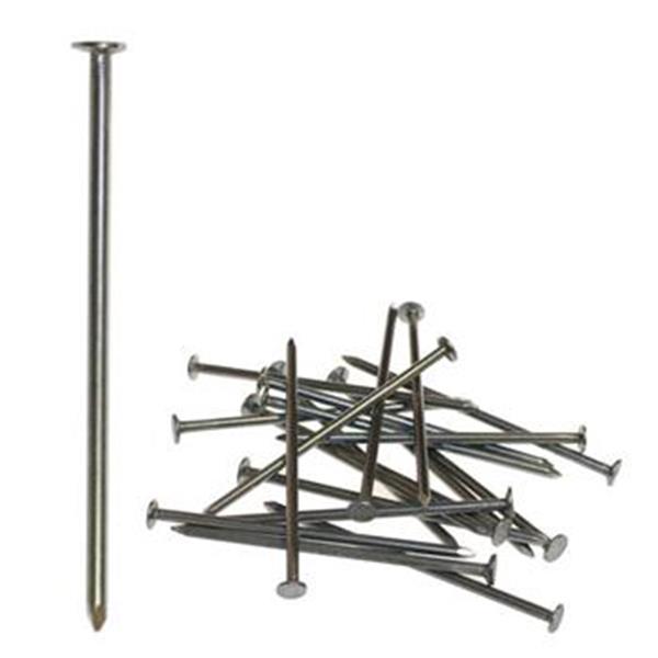 Hašpl 5501 - Hřebík stavební délka 300 mm pr. 8,8 mm, (cena za 1 kg)